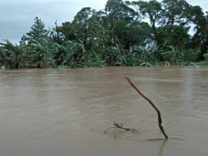 image-50