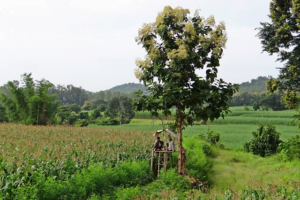 image-90