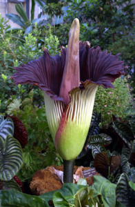 image-47