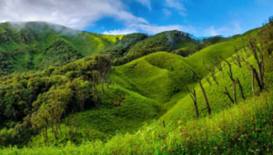 Dzukou-Valley-Nagaland1