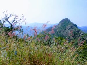 Satpura-Biosphere-National-Park