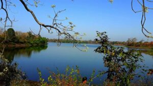 Dumna-Nature-Reserve-Park