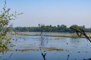 Keoladeo-National-Park0