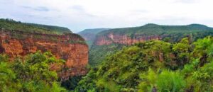 Sri-Venkateswara-National-Park