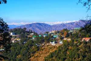 image-49