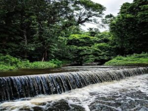 Cherrapunji-Arunachal-Pradesh-640x480-1