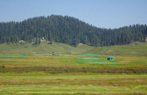 image-86