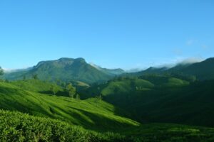 munnar-g2c2c1995b_640-1