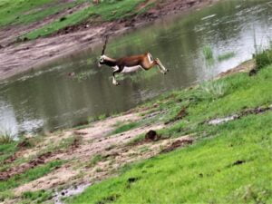 Satpura-National-Park-640x480-1