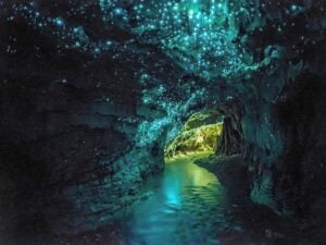 Waitomo-Caves