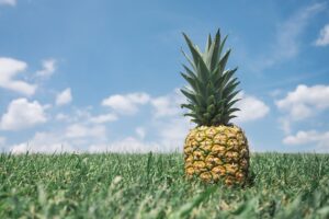pineapple-g57842bd2e_640