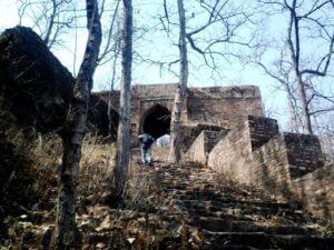 Bori-Wildlife-Sanctuary
