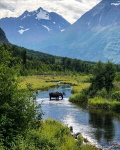 Chugach-State-Park