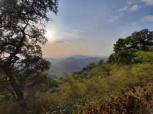 Dhoopgarh-