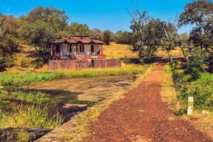 Madhav-National-Park