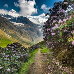 Pindari-Glacier-Trek-1