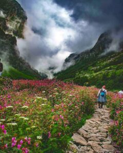 Valley-of-Flowers-Trek-1