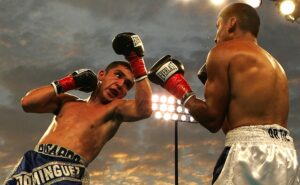 boxing-62867_640