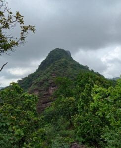 pachamarih