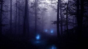 Aleya-Ghost-Lights-Sundarbans