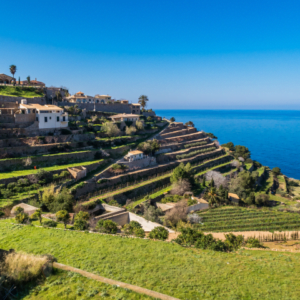 Banyalbufar-Mallorca-Small