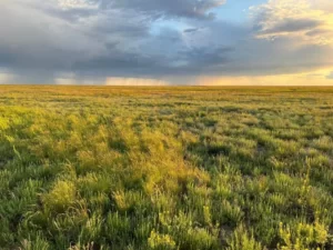 Kazakh-Steppe-Kazakhstan