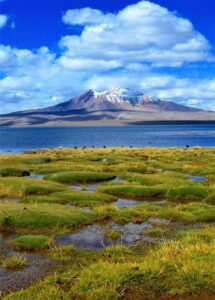 Lake-Chungara-Chile