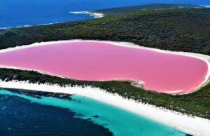 Lake-Hillier-Australia
