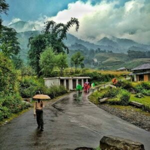 Palampur