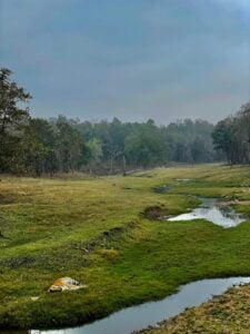 Pench-National-Park