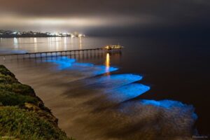 San-Diego-California-USA