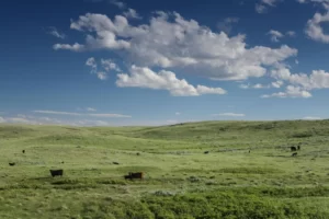 canadian-prairies
