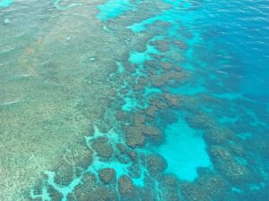 great-barrier-reef-261727_640-2
