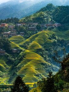 longji-rice-terraces-7274813_640