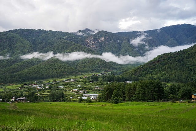 Top Natural Places to Visit in Bhutan
