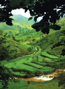 Araku-Valley-Andhra-Pradesh