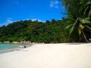 Top 11 Best Natural Places to Visit in Malaysia