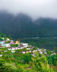 Coonoor-Tamil-Nadu-Small