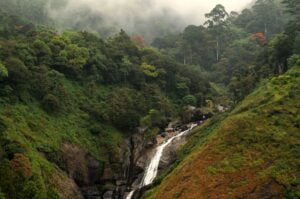Eravikulam-National-Park-Kerala-Small