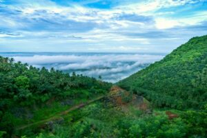 Top Hill Stations for Nature Lovers in South India