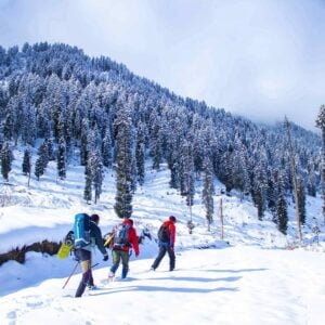 Top 11 Best Places to See Snowfall in India