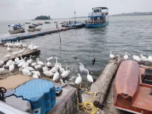 uppper lake bhopal (Small)