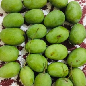 Banarasi-Langra-Mango-Small