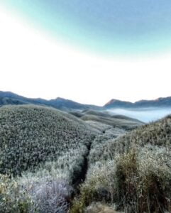 Dzukou-Valley-Small