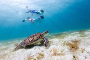 Galapagos-Islands-Small
