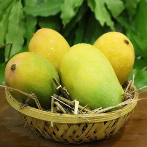 Gir-Kesar-Mango