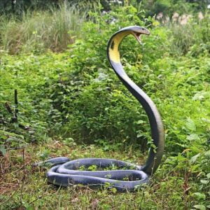 King-Cobra