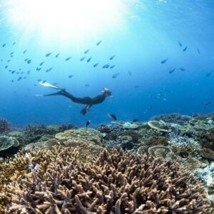 Maldives-Small