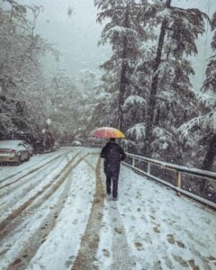 Shimla-Small-1