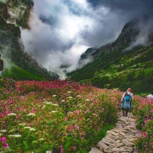 Valley-of-Flowers-Small-1
